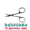 Ножницы остроконечные изогнутые 100мм TH-06-021-10 (Н-21)