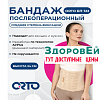 БП 122 (M) Бандаж послеоперационный Orto