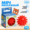 Мяч массажный "Ежик" диаметр 4,5 см 9192241
