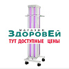 Облучатель ОБНП 2(2х30-01) "Генерис" исп.4 передвижной.