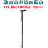 Трость одноопорная телескопическая, C Standart (черная)