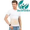 Бандаж послеоперационный БП 123 (M), Orto